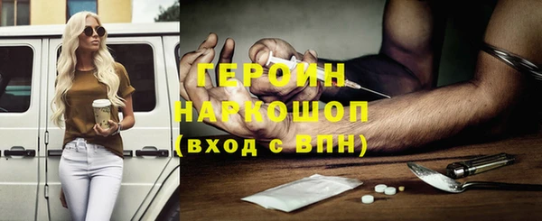 шишки Надым