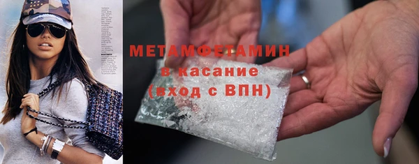 шишки Надым