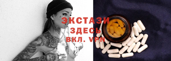 шишки Надым