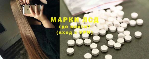 шишки Надым