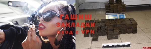 шишки Надым