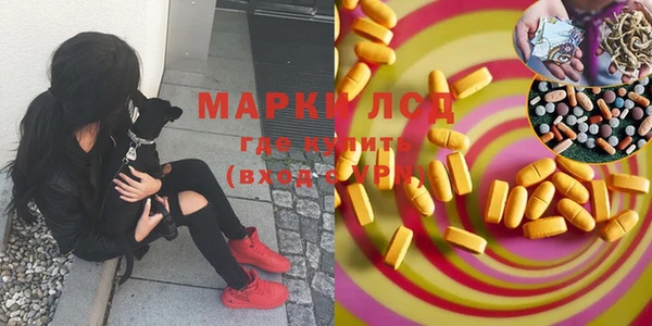 шишки Надым