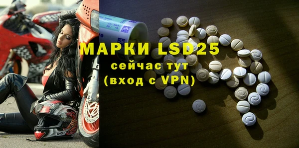 шишки Надым