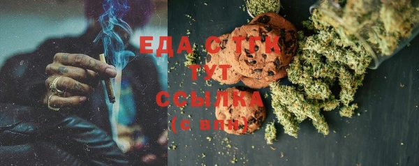 шишки Надым