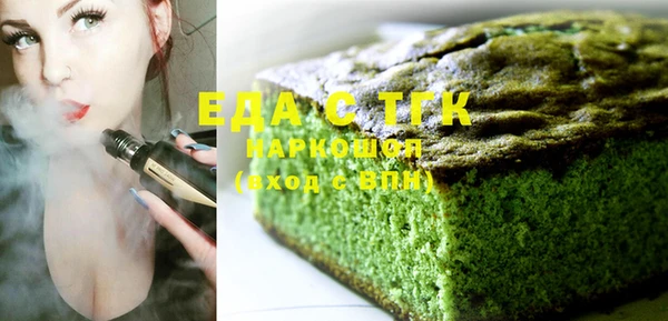 шишки Надым