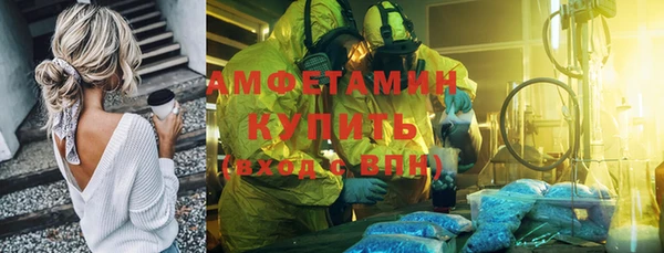 шишки Надым