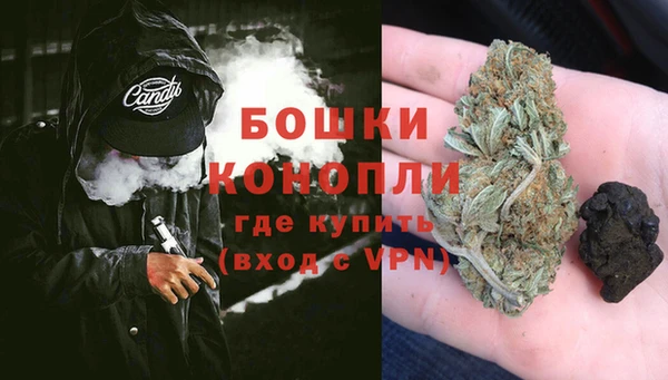 шишки Надым