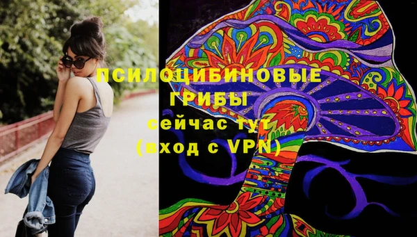 шишки Надым